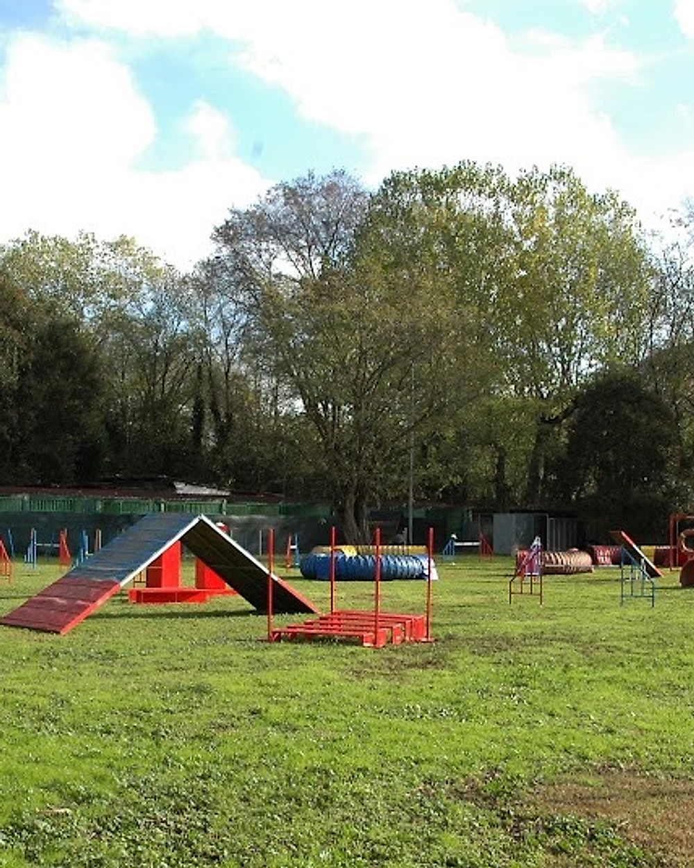 Campo di agility attrezzato della scuola