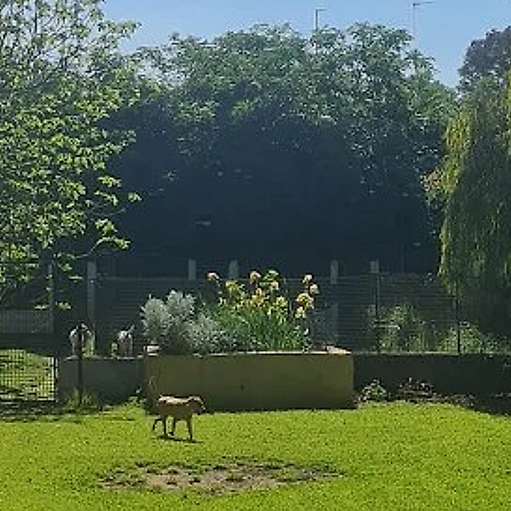 Le aree verdi della struttura